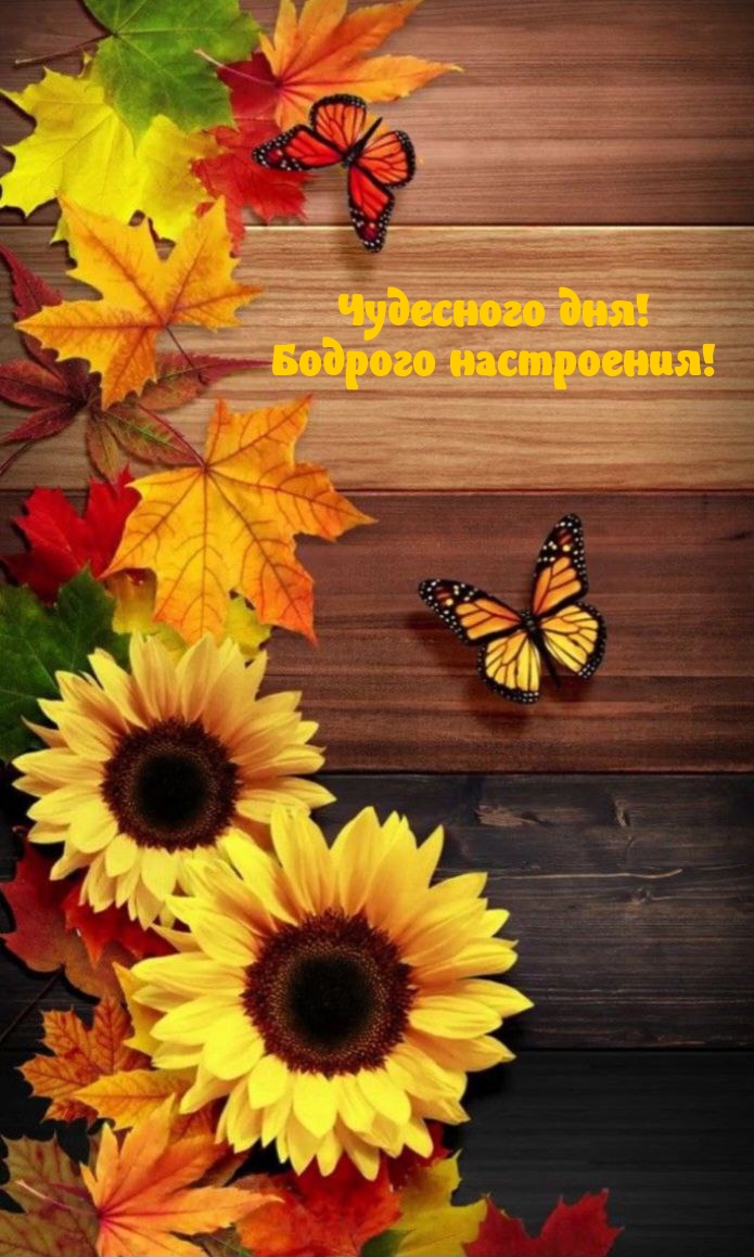 Чудесного дня! Бодрого настроения!