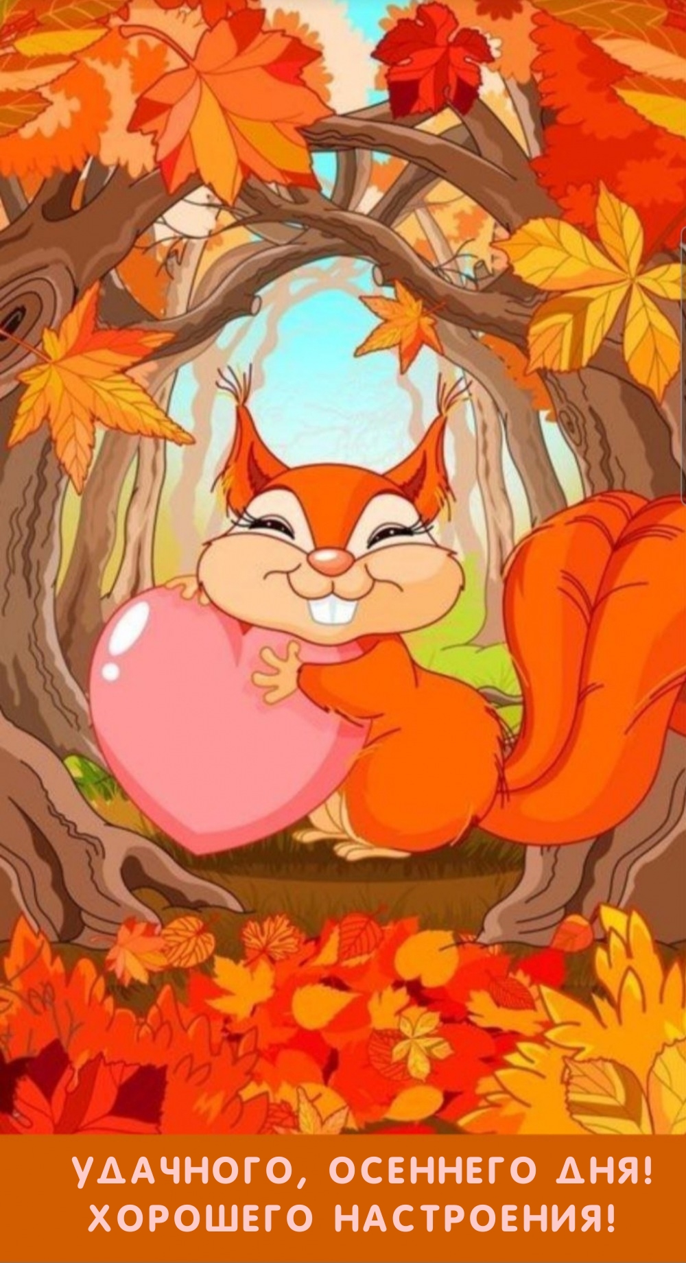 Удачного, осеннего дня! Хорошего настроения!