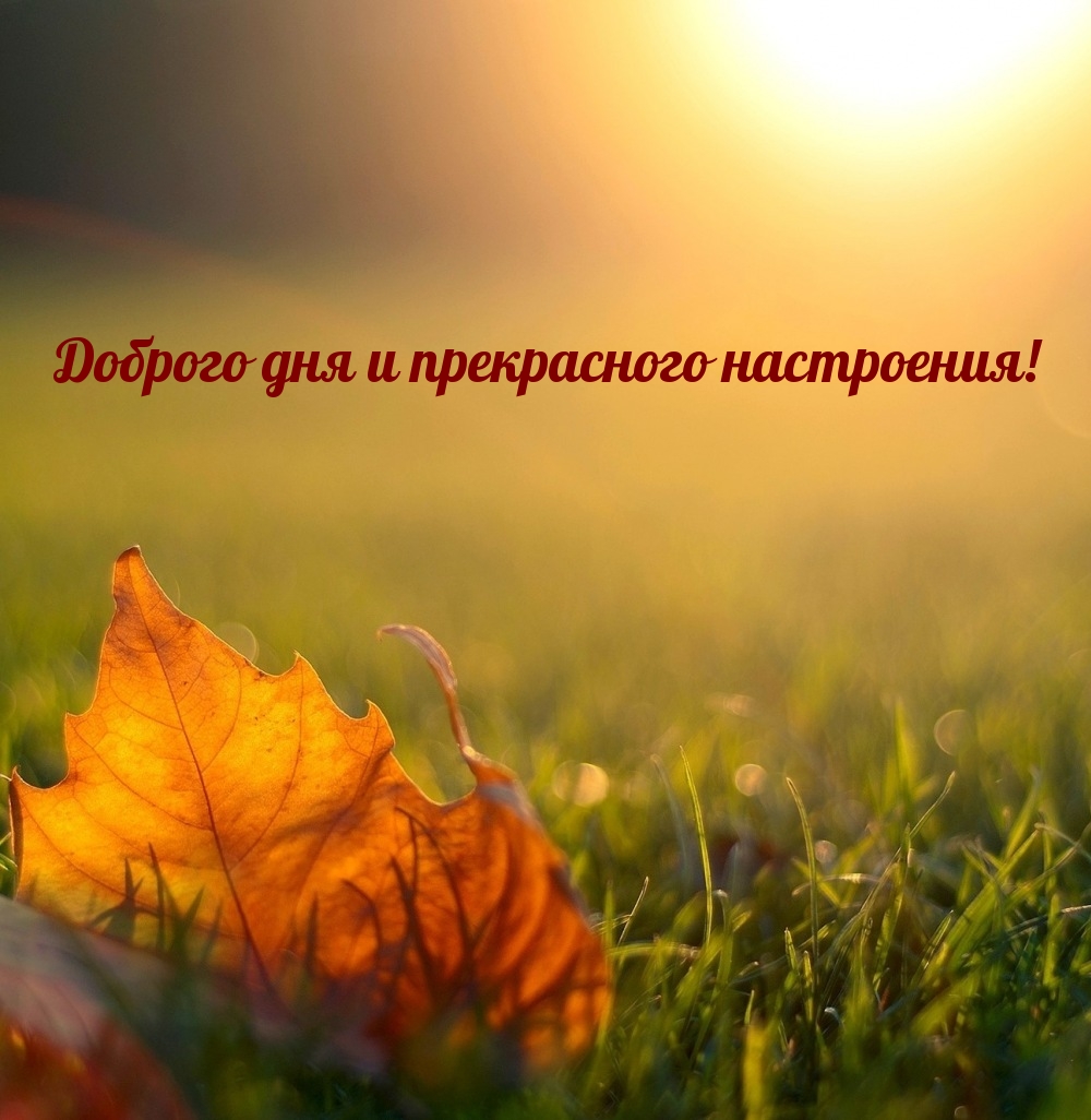 Доброго дня и прекрасного настроения!