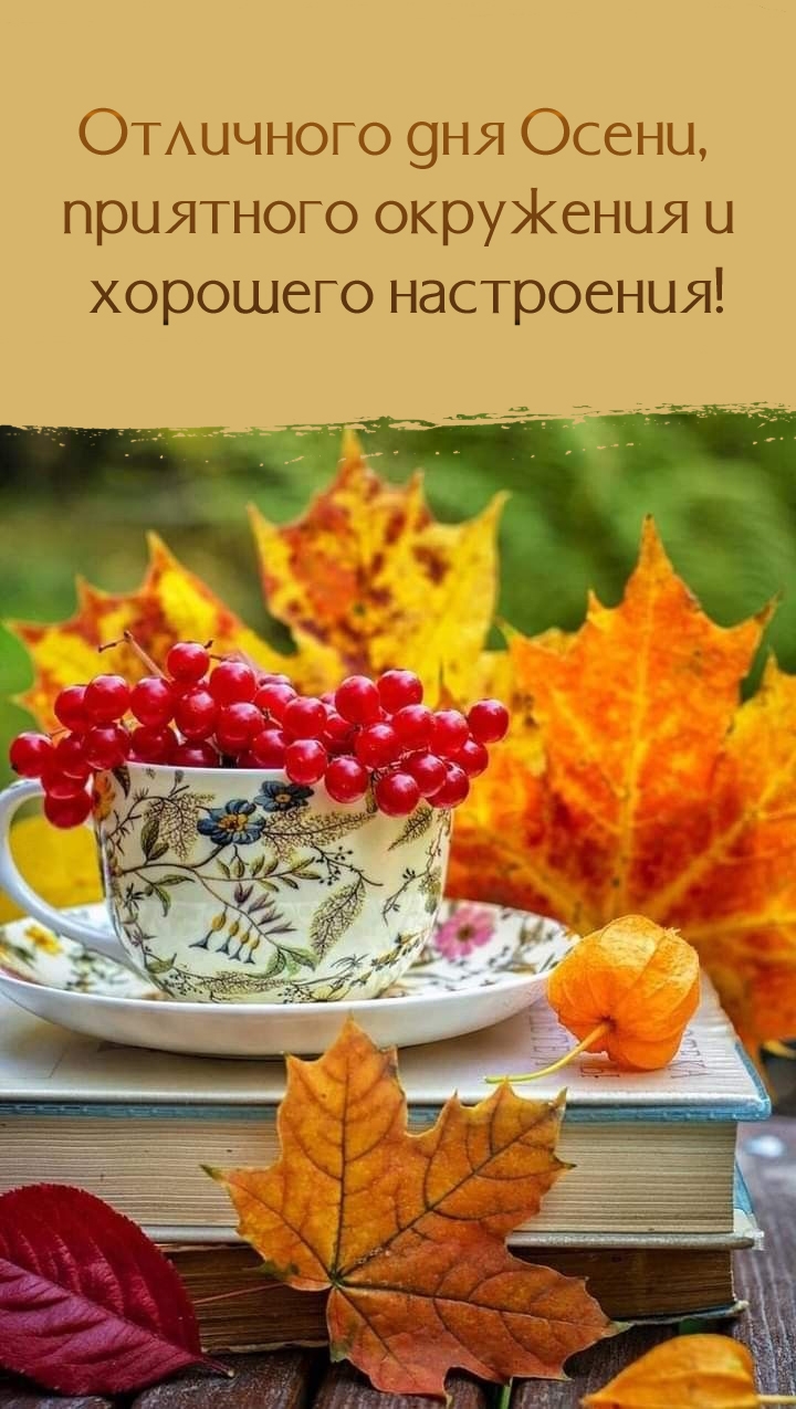 Отличного дня Осени, приятного окружения и хорошего настроения!