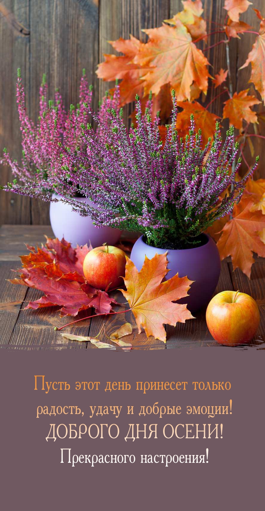 Пусть этот день принесет только радость, удачу и добрые эмоции!