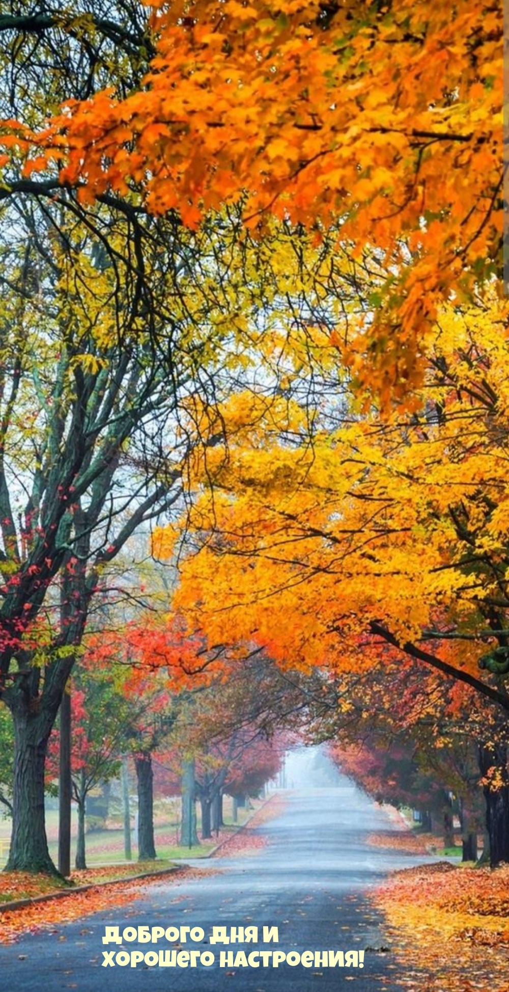 Доброго дня и хорошего настроения!