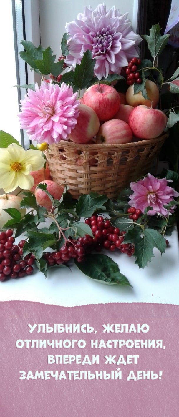 Улыбнись, отличного настроения, впереди ждет замечательный день!