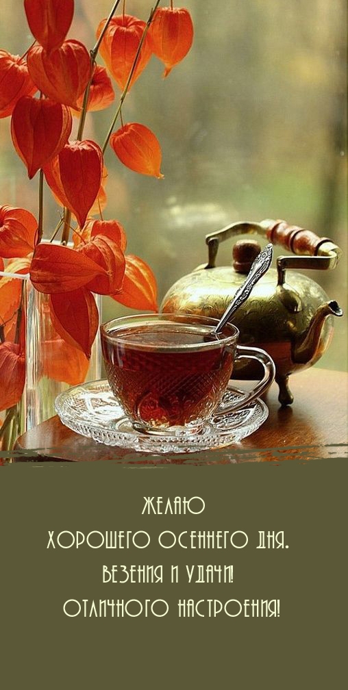 Хорошего осеннего дня. Везения и удачи! Отличного настроения!