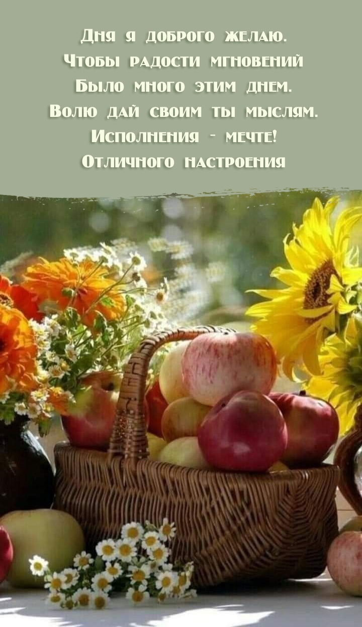 Дня я доброго желаю. Чтобы радости мгновений было много 