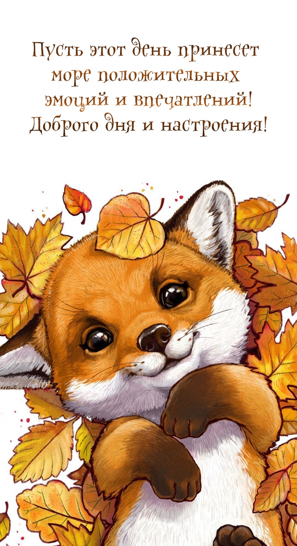 Пусть этот день принесет море положительных эмоций и впечатлений!