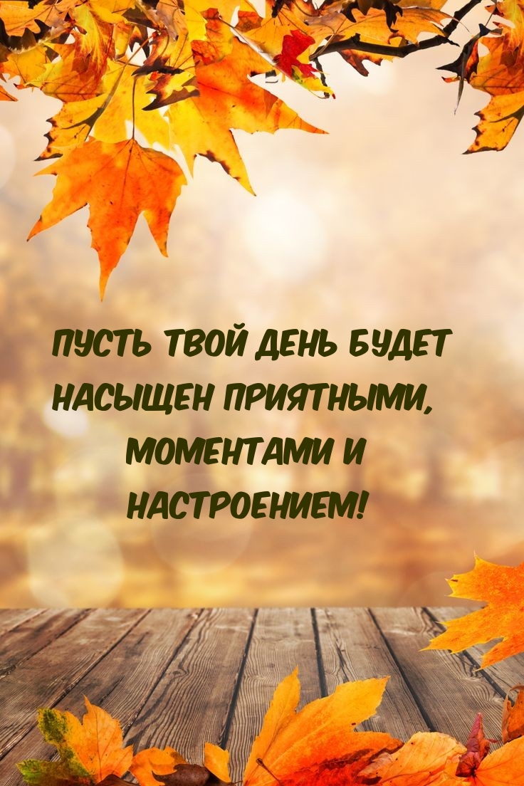 Пусть твой день будет насыщен приятными, моментами 
