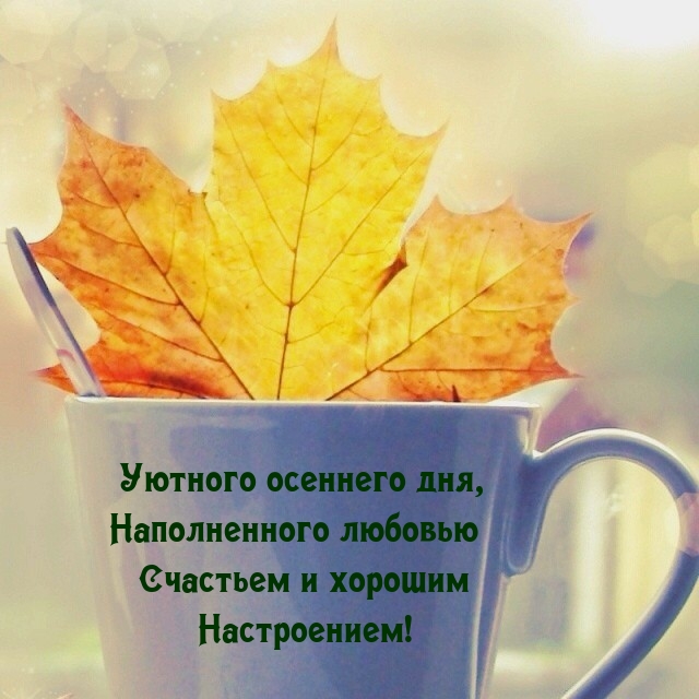 Уютного осеннего дня, наполненного любовью счастьем 
