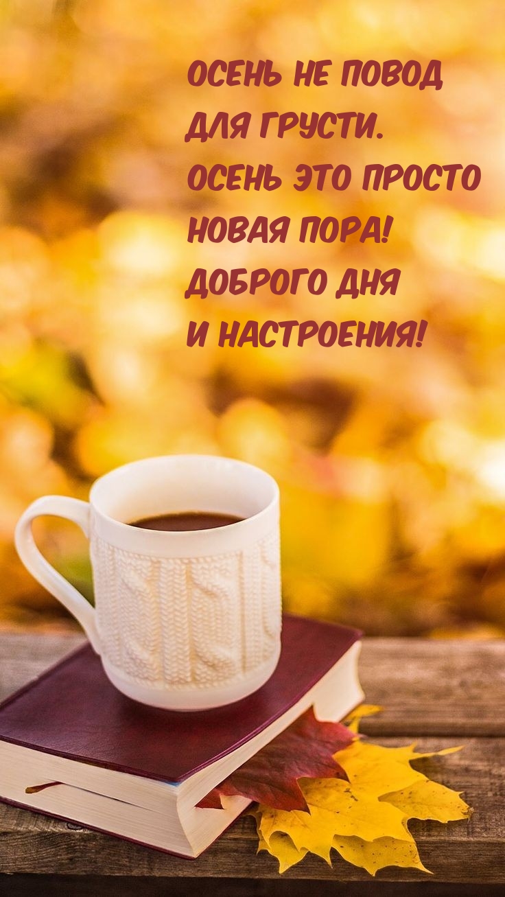 Осень не повод для грусти. Осень это просто новая пора!