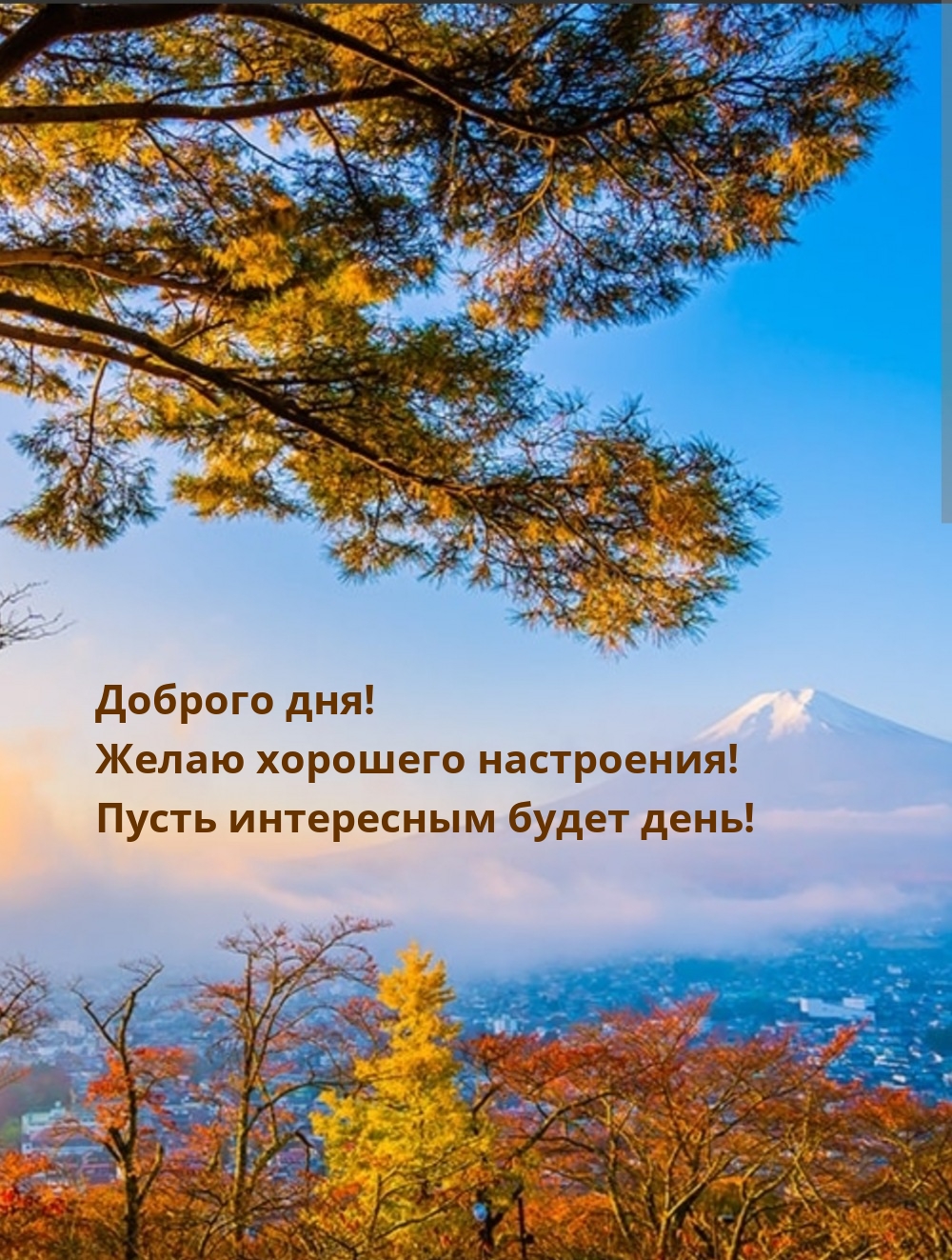 Доброго дня! Желаю хорошего настроения!