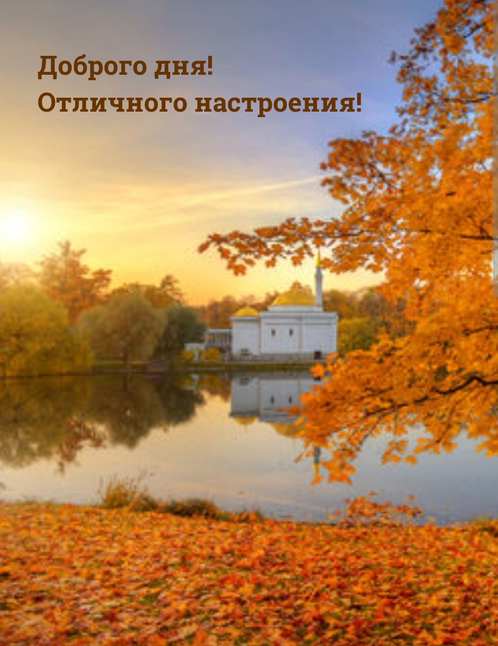 Доброго дня! Отличного настроения!