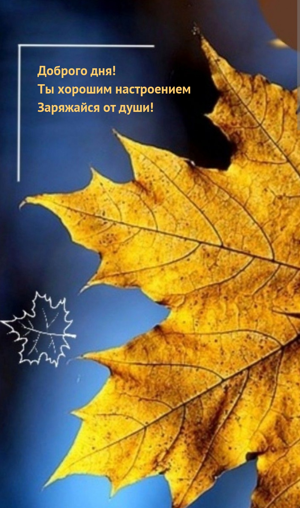 Доброго дня! Ты хорошим настроением Заряжайся от души!