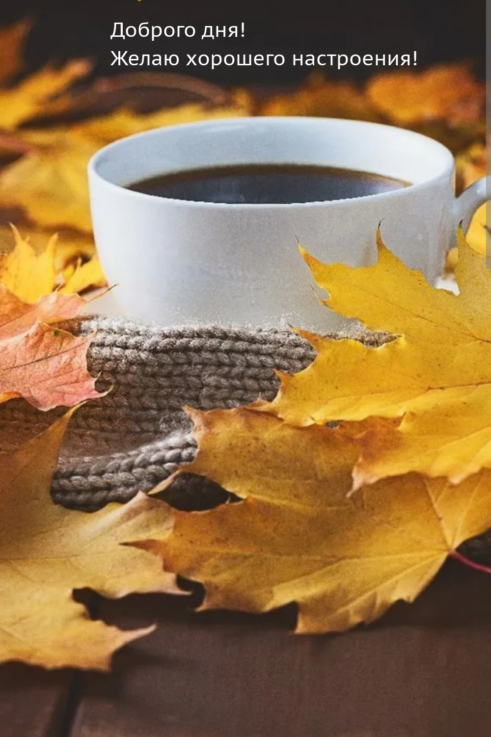 Доброго дня! Желаю хорошего настроения!