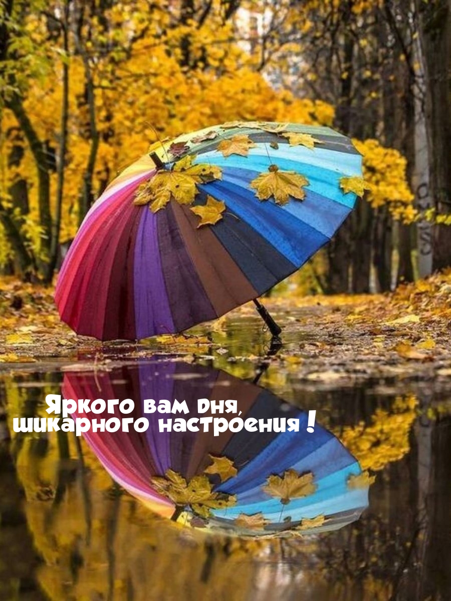 Яркого вам дня, шикарного настроения!