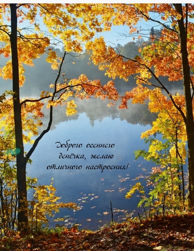 Доброго осеннего денёчка, желаю отличного настроения!