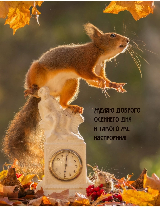 Желаю доброго осеннего дня и такого же настроения!