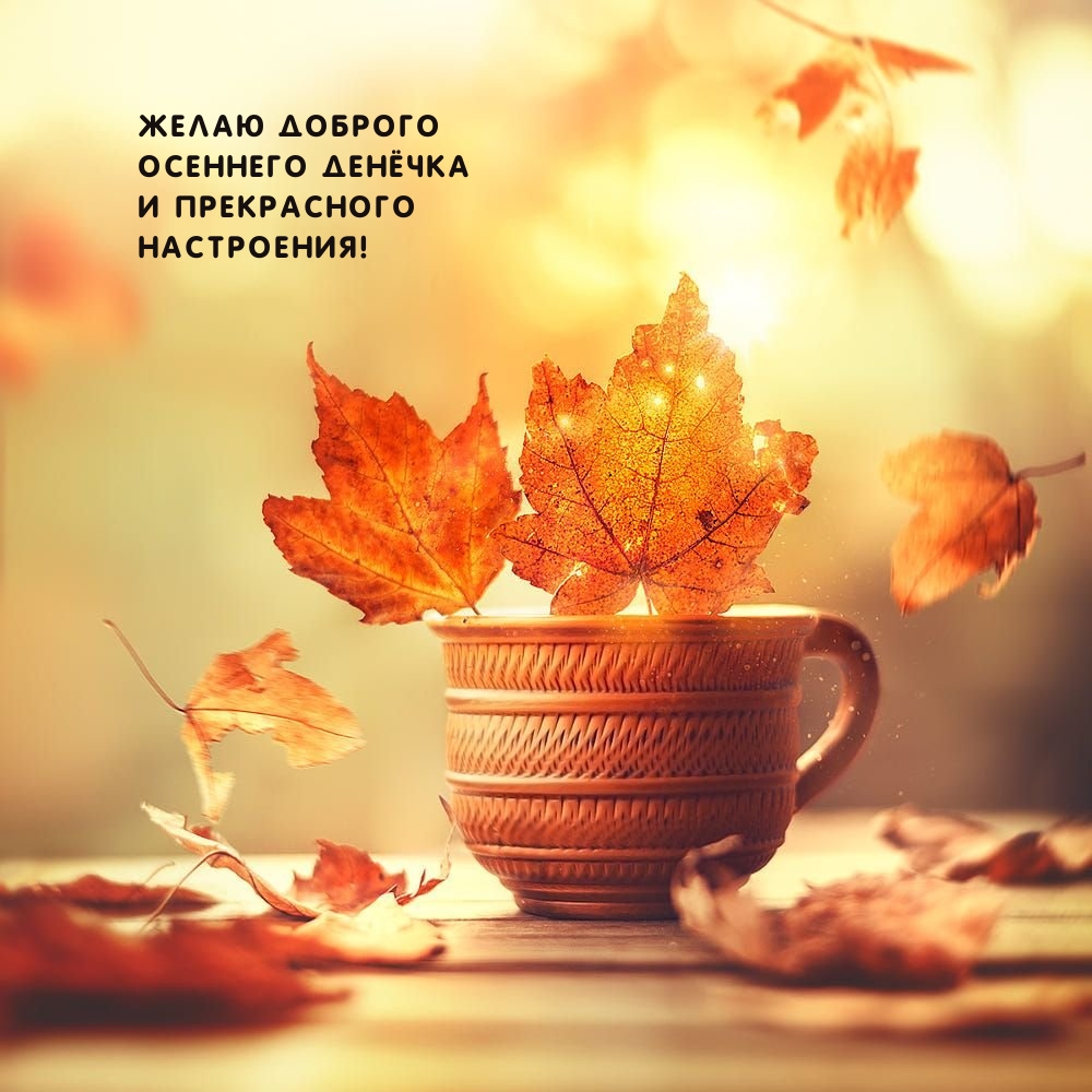 Желаю доброго осеннего денёчка и прекрасного настроения!