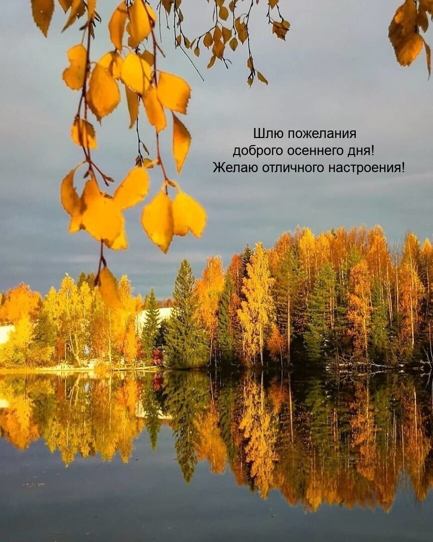 Шлю пожелания доброго осеннего дня! Желаю отличного настроения! 