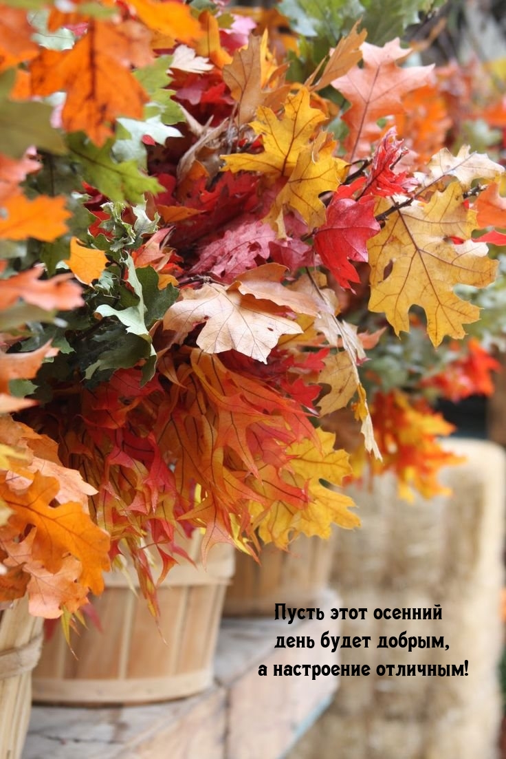Пусть этот осенний день будет добрым, а настроение отличным!
