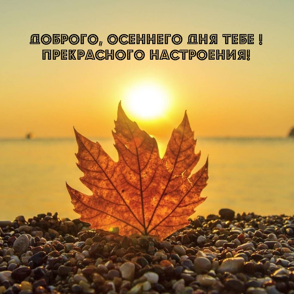 Доброго, осеннего дня тебе! Прекрасного настроения!