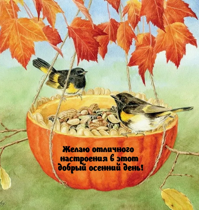 Желаю отличного настроения в этот добрый осенний день!