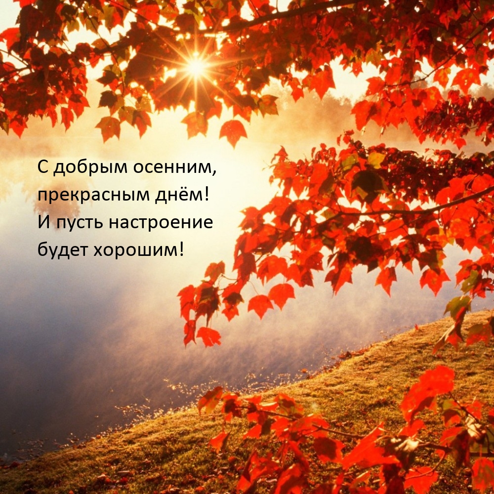 С добрым осенним днём! И пусть настроение будет хорошим!