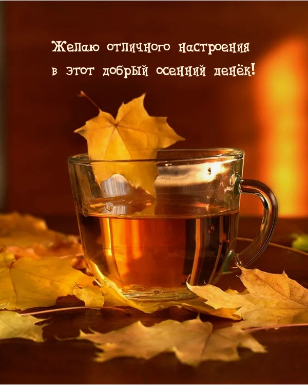 Желаю отличного настроения в этот добрый осенний денёк!