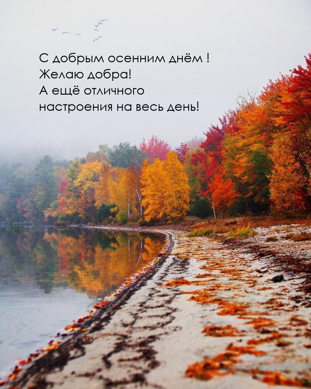 С добрым осенним днём! Желаю добра!