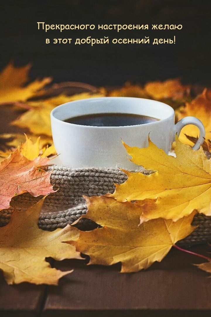 Прекрасного настроения желаю в этот добрый осенний день!