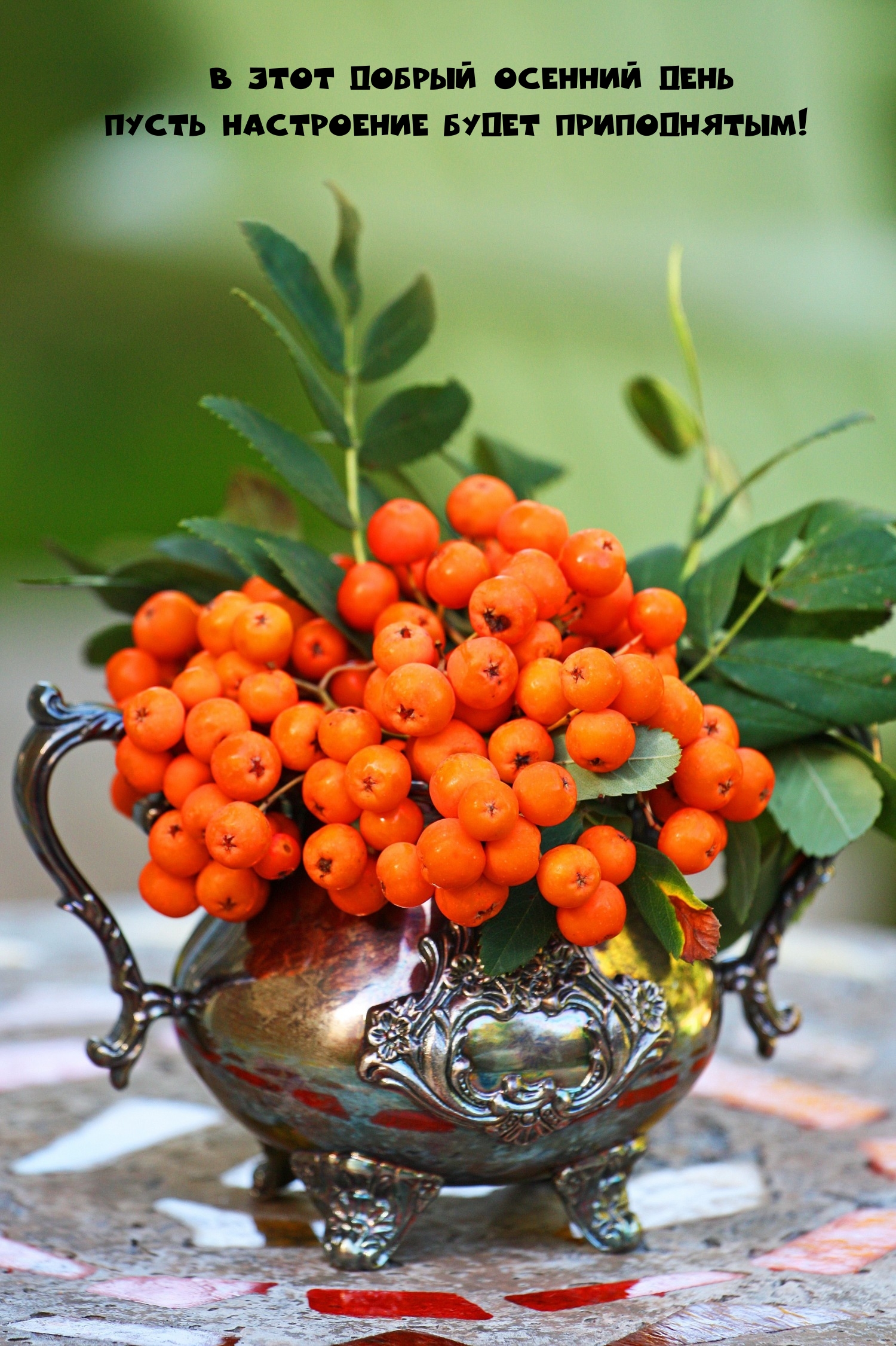 В этот добрый осенний день пусть настроение будет приподнятым!