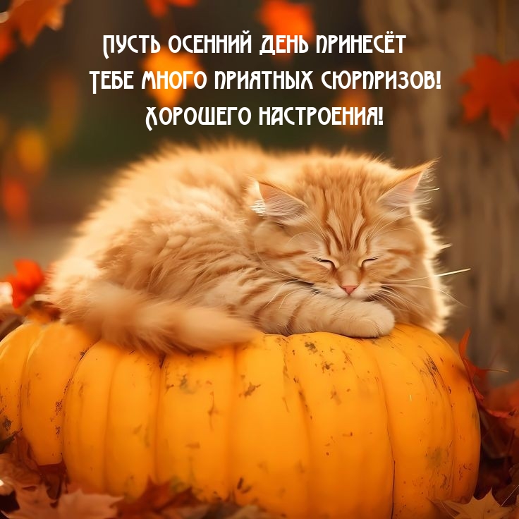 Пусть осенний день принесёт тебе много приятных сюрпризов!
