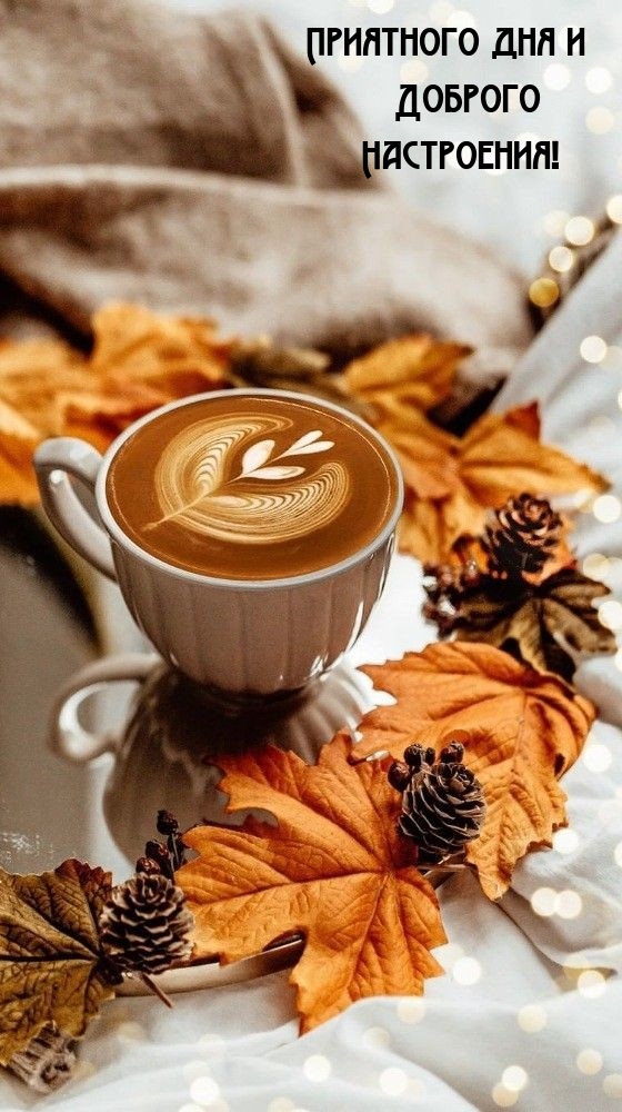 Приятного дня и доброго настроения!