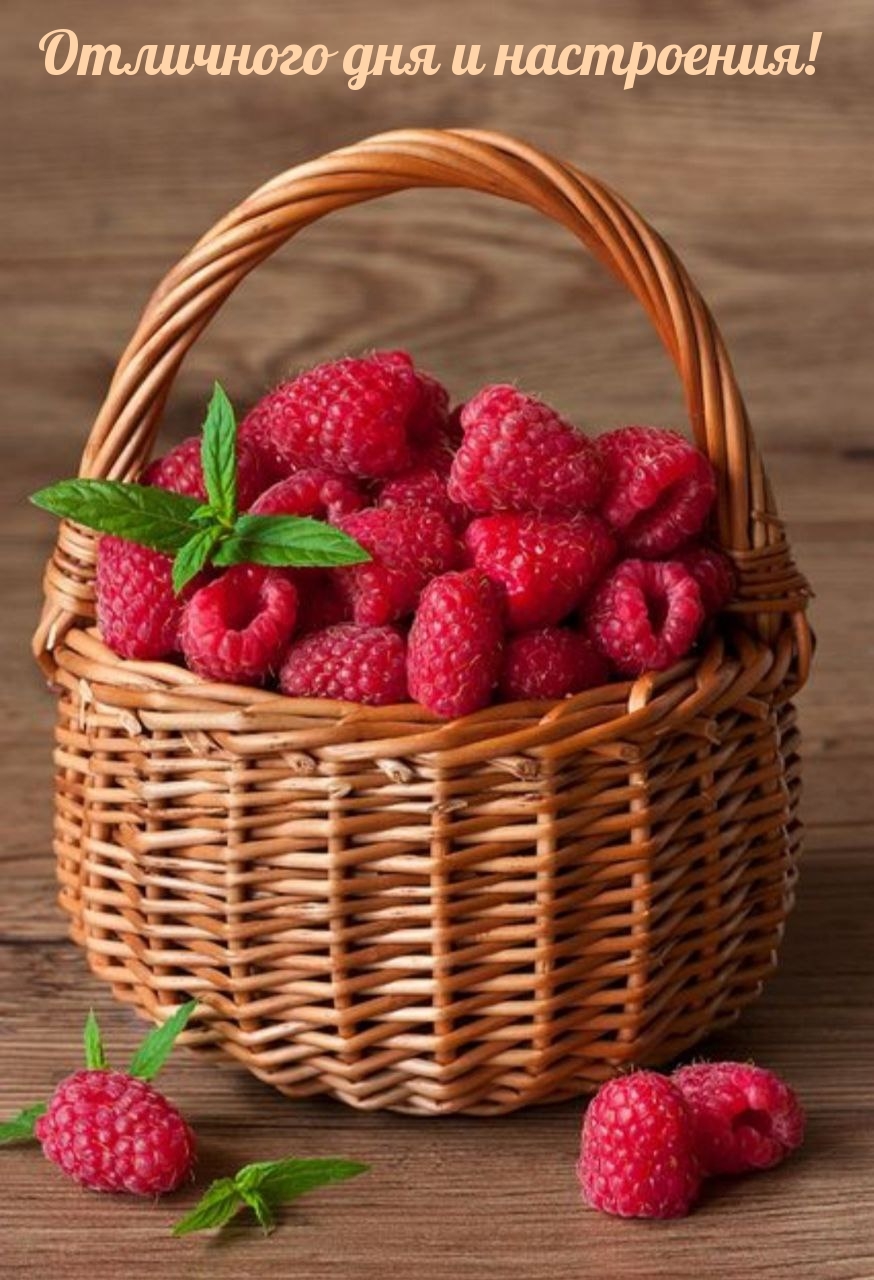 Отличного дня и настроения!