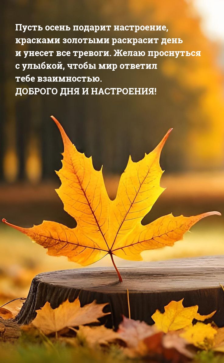 Доброго дня и настроения! Пусть осень подарит настроение