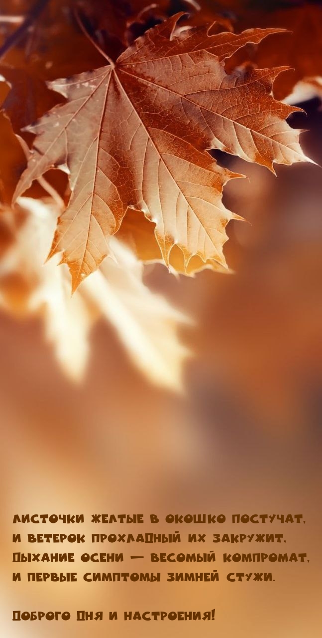 Листочки желтые в окошко постучат Доброго дня