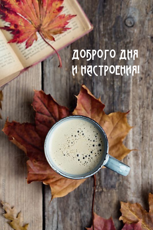 Доброго дня и настроения!