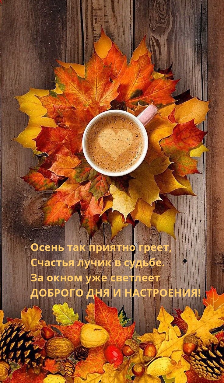 Осень так приятно греет, счастья лучик в судьбе.