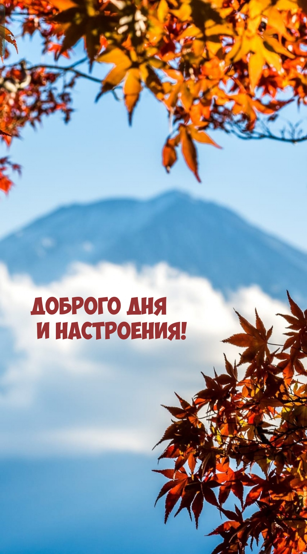 Доброго дня и настроения!