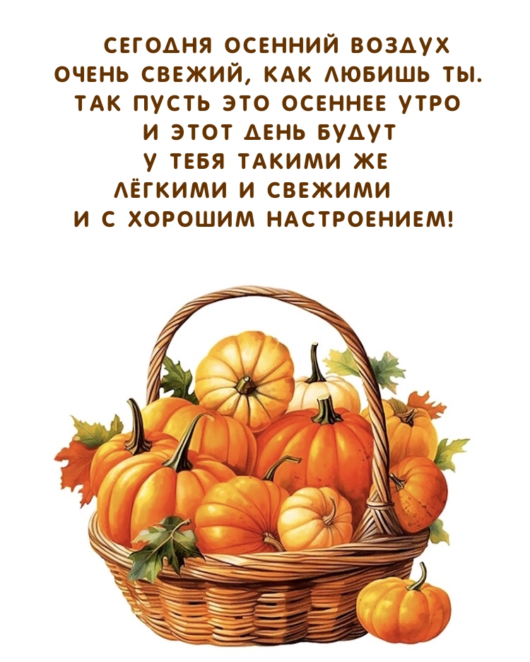 Сегодня осенний воздух очень свежий, как любишь ты. 