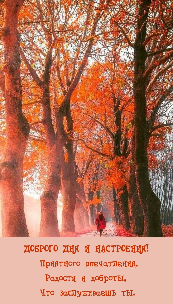 Доброго дня и настроения! Приятного впечатления