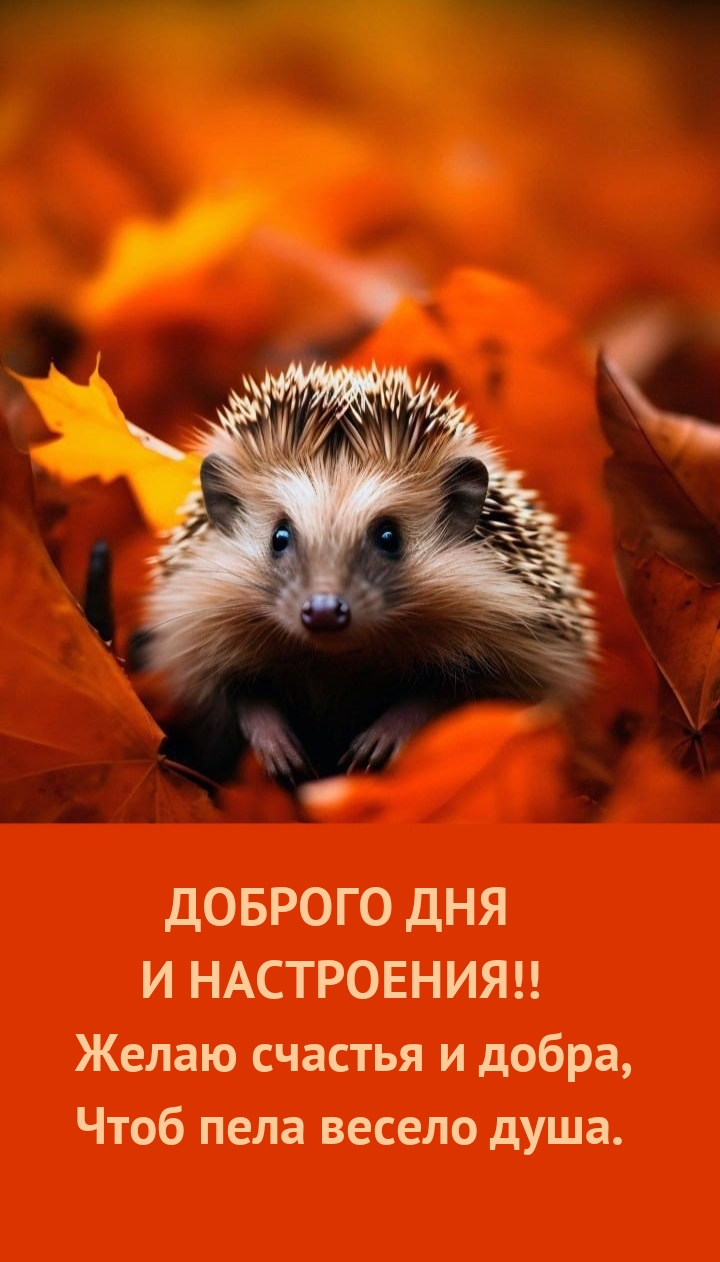 Доброго дня и настроения!! Желаю счастья и добра