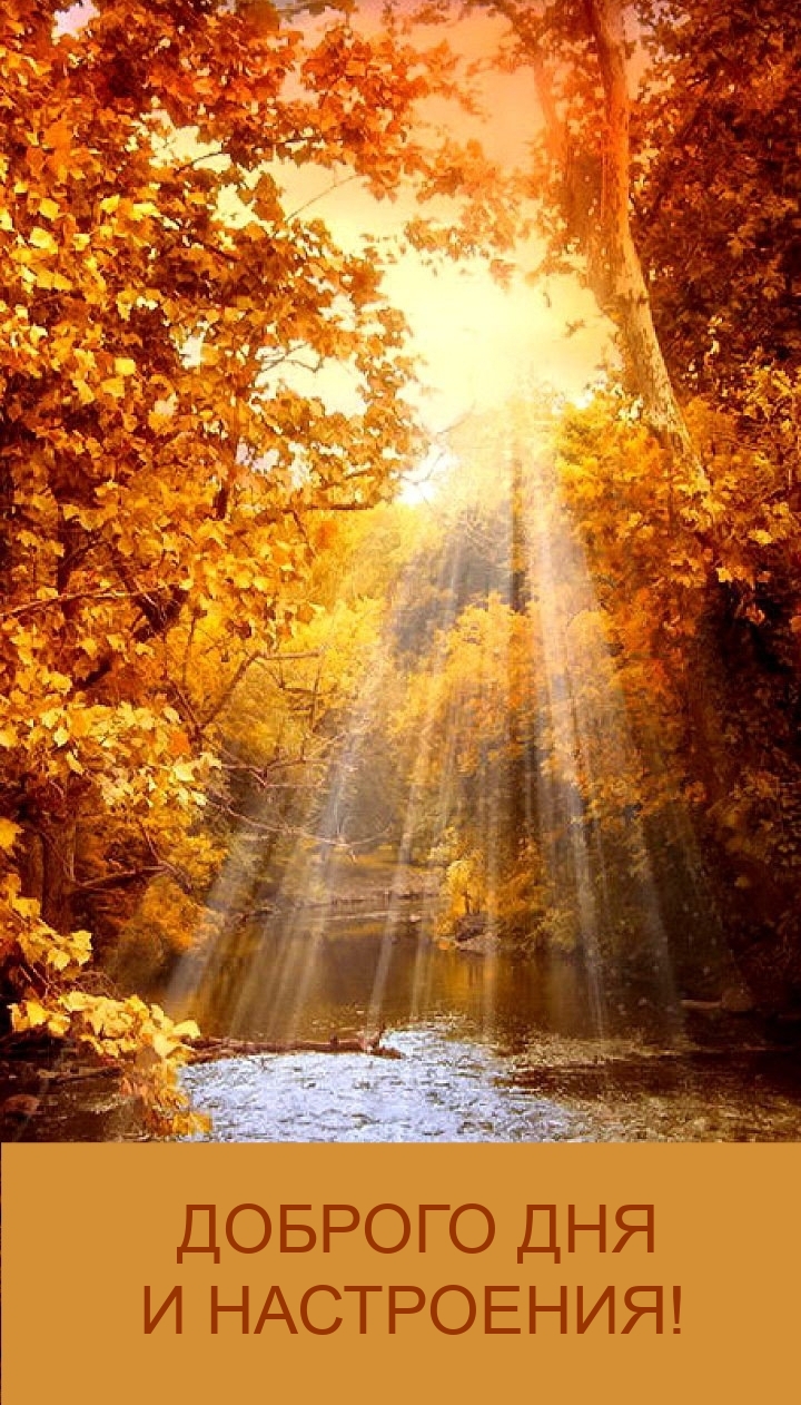 Доброго дня и настроения!