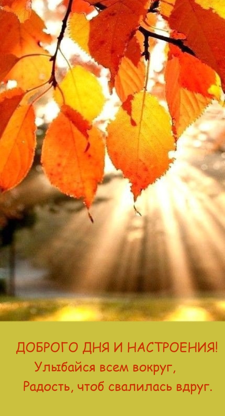 Доброго дня и настроения! Улыбайся всем вокруг
