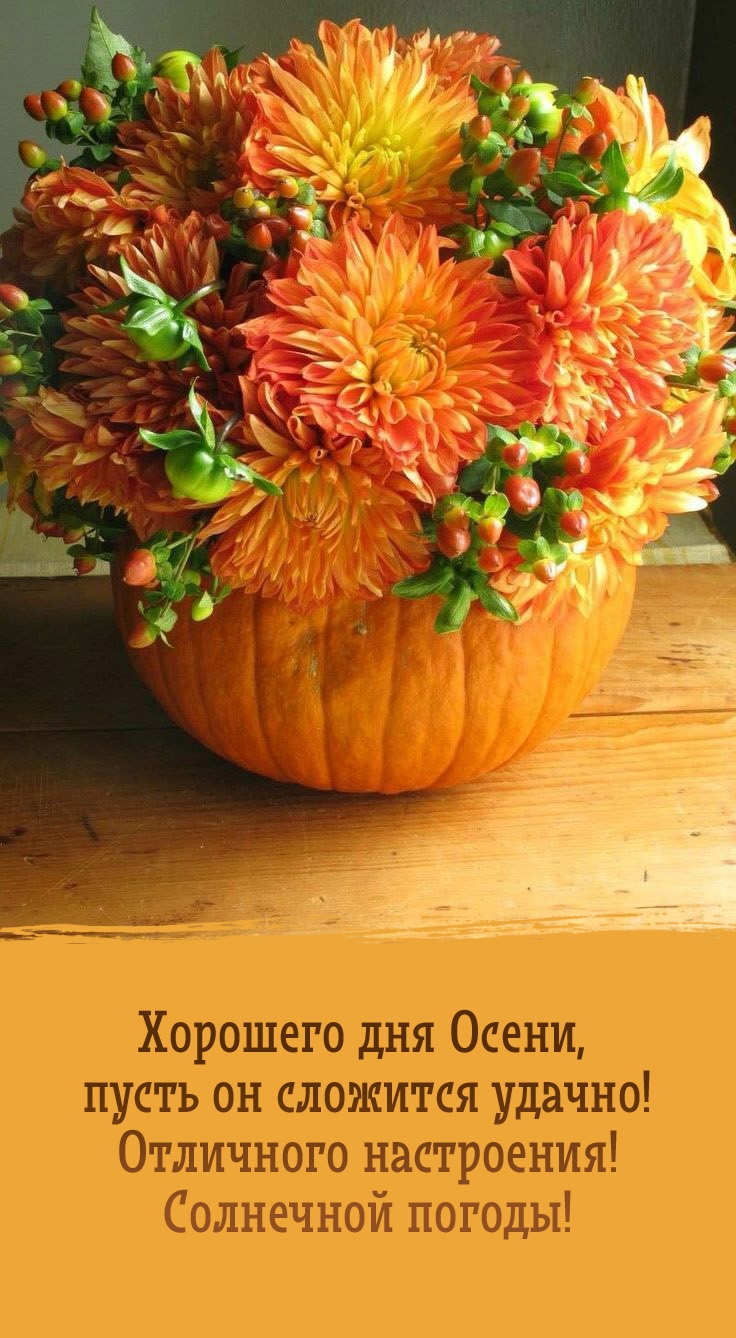 Хорошего дня осени, пусть он сложится удачно!