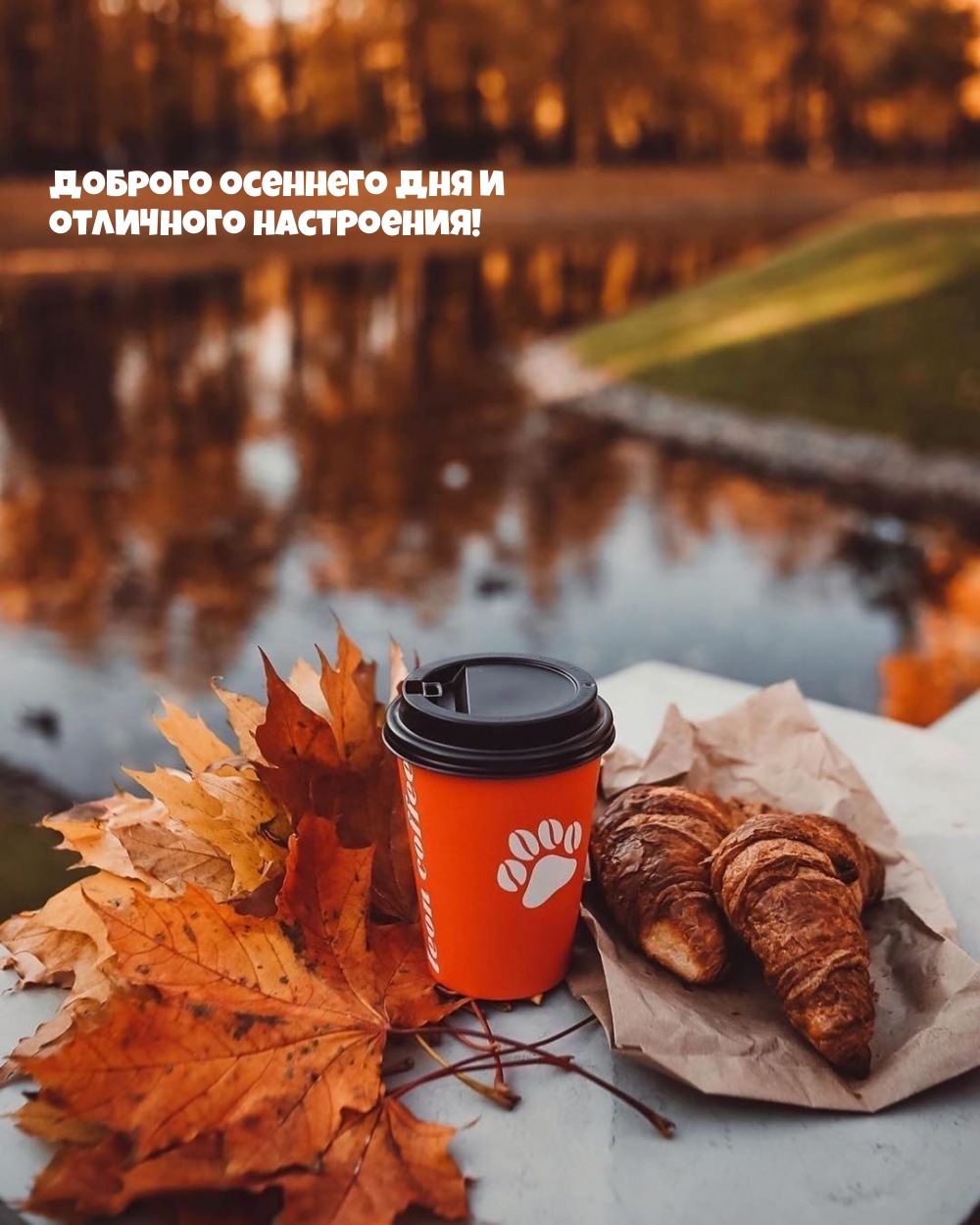 Доброго осеннего дня и отличного настроения!