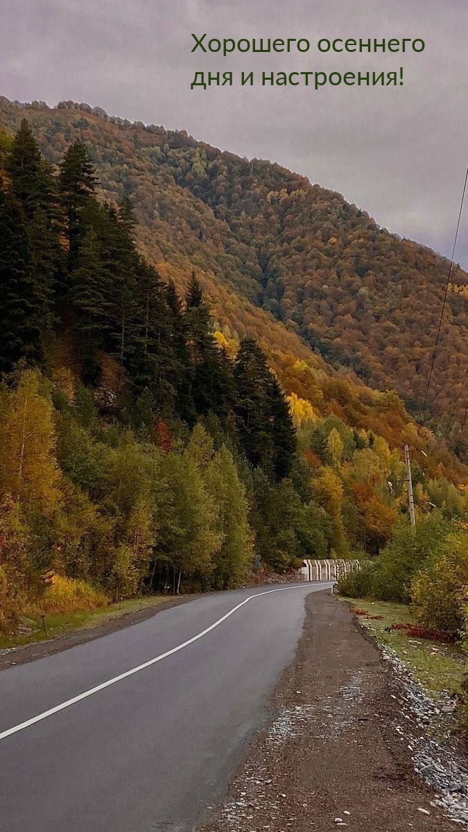 Хорошего осеннего дня и настроения!