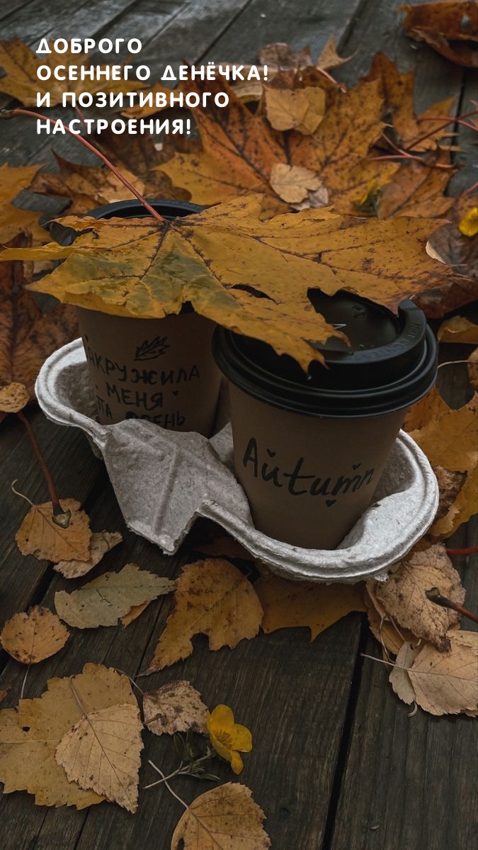 Доброго осеннего денёчка! И позитивного настроения!