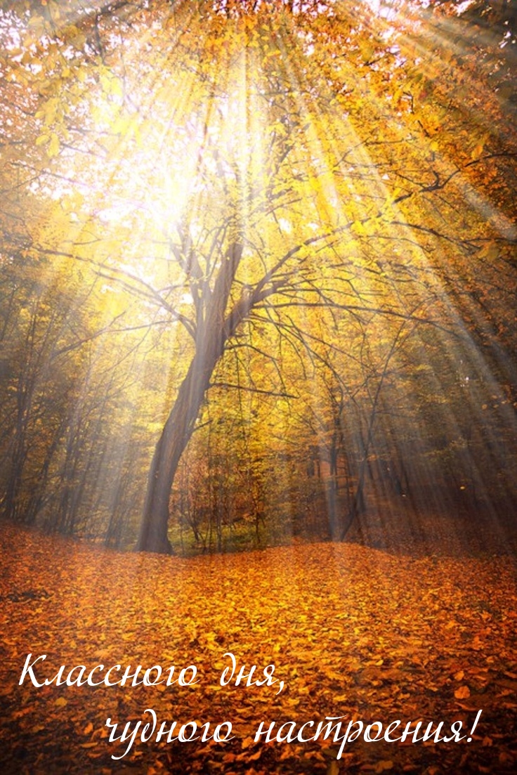 Классного дня, чудного настроения!