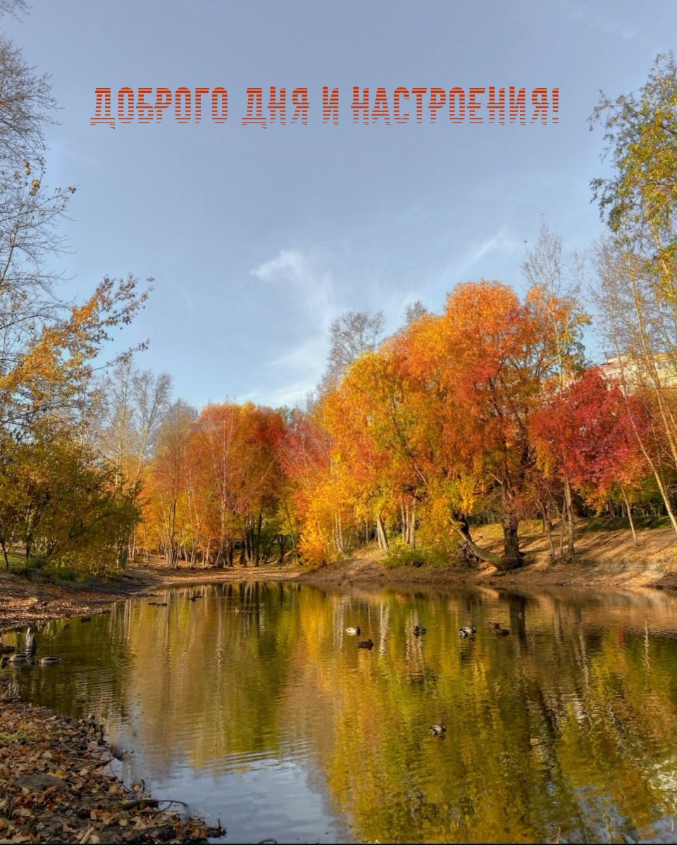 Доброго дня и настроения!