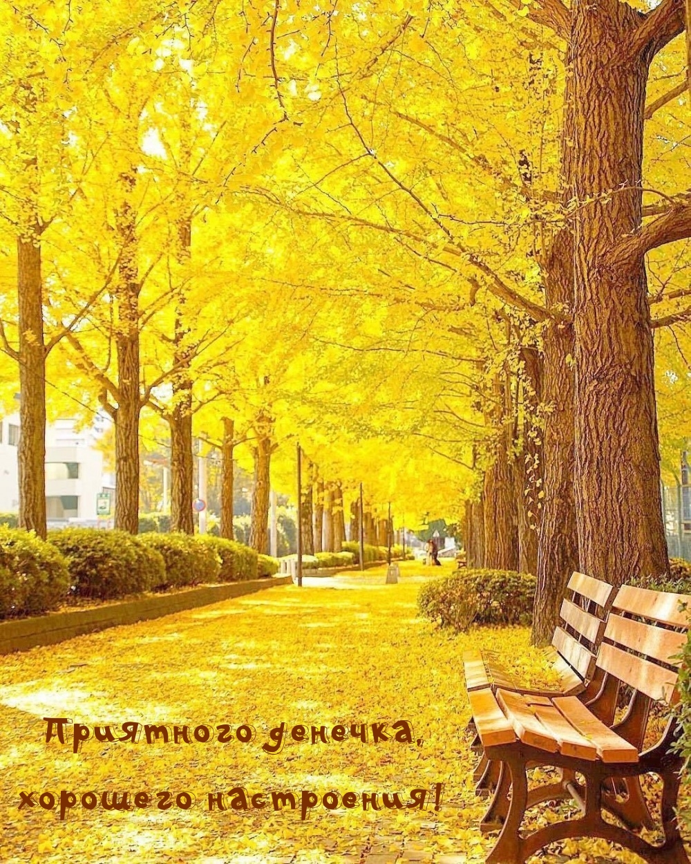 Приятного денечка, хорошего настроения!